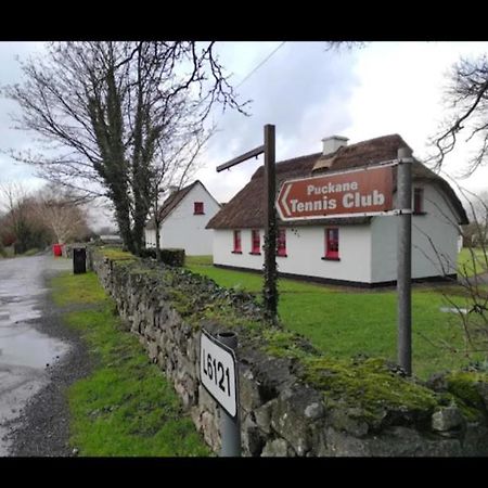 Thatcted Cottages Lough Derg Dromineer Exterior photo